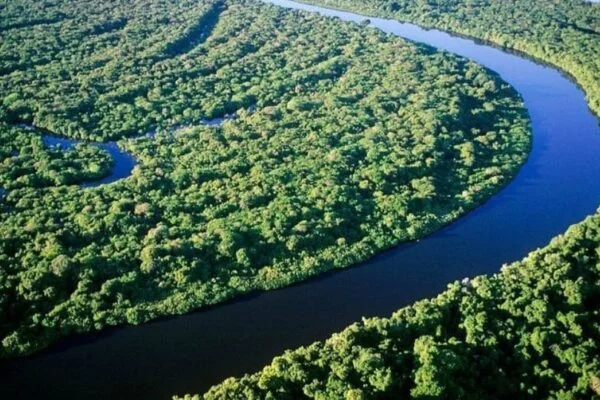 Rio Negro: Descubra as Maravilhas da Amazônia