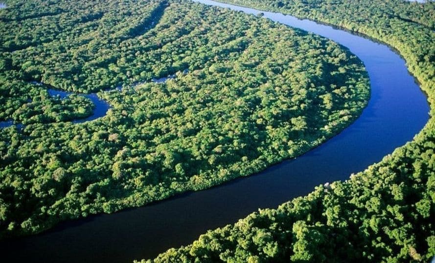 Rio Negro: Descubra as Maravilhas da Amazônia