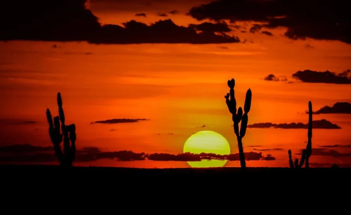 Descubra as Maravilhas da Região Nordeste do Brasil