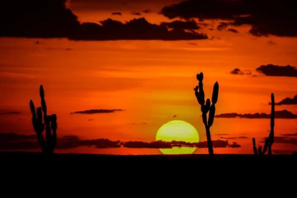 Descubra as Maravilhas da Região Nordeste do Brasil