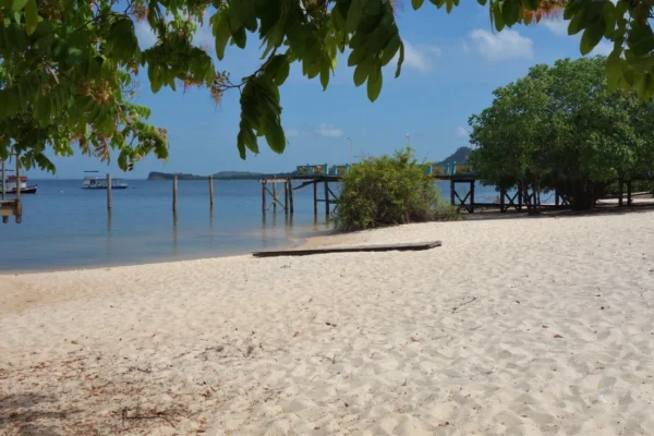 Alter do Chão: Paraíso Amazônico