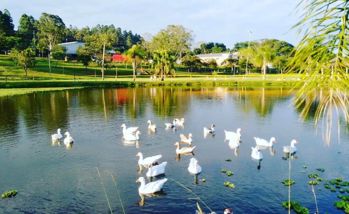 Descubra 10 cidades imperdíveis no Rio Grande do Sul