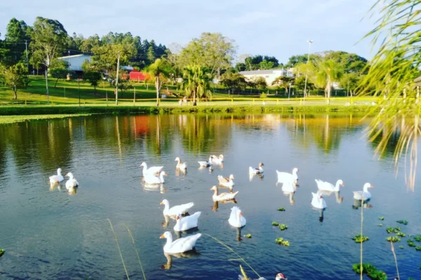 Descubra 10 cidades imperdíveis no Rio Grande do Sul