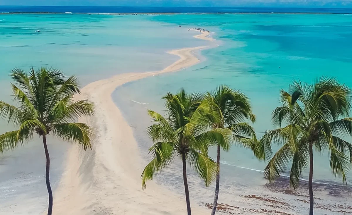 Descubra as Belezas de Maragogi