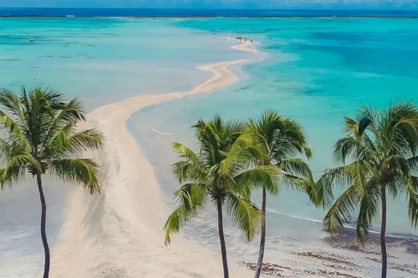 Descubra as Belezas de Maragogi