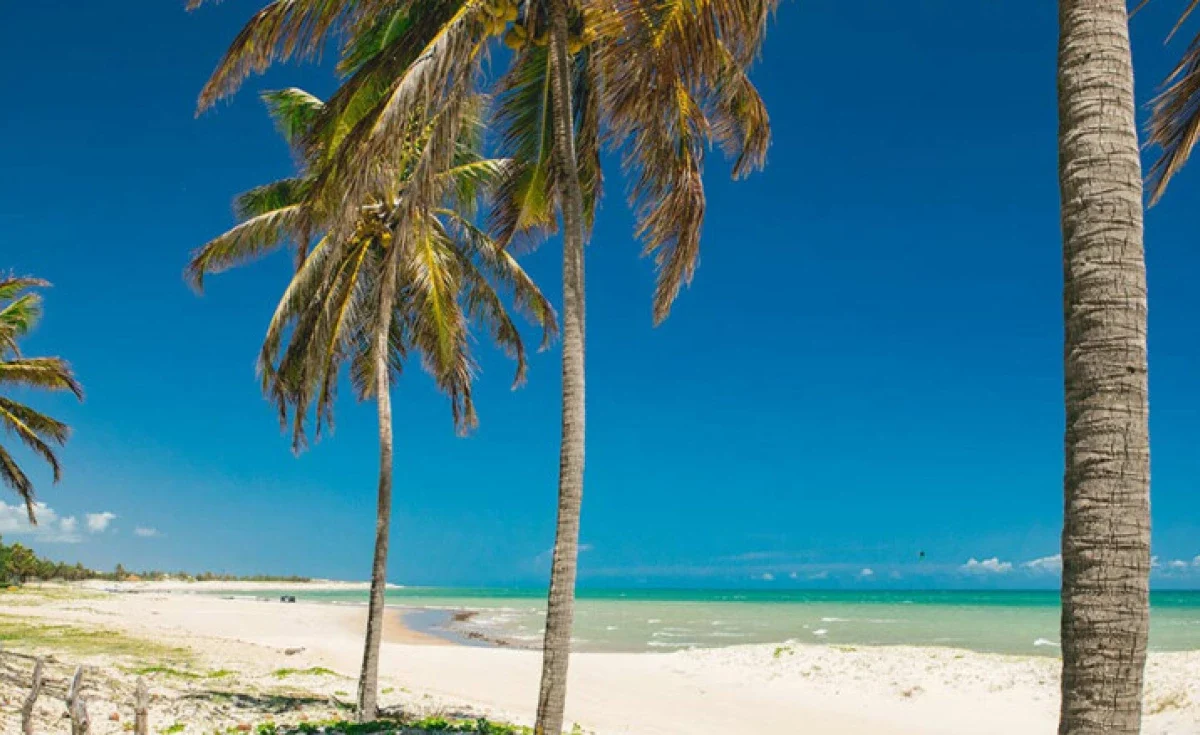 Descubra São Miguel do Gostoso