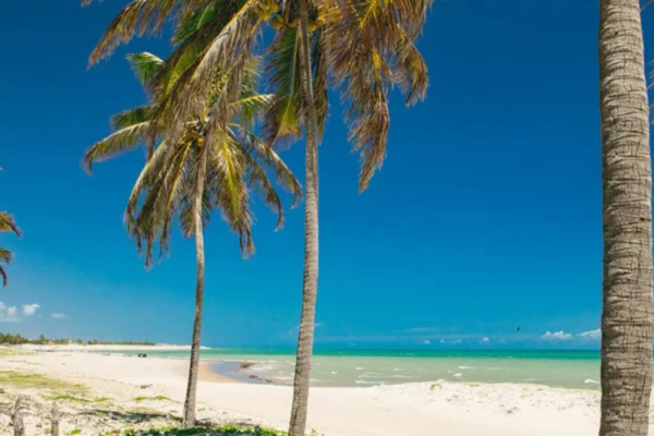 Descubra São Miguel do Gostoso