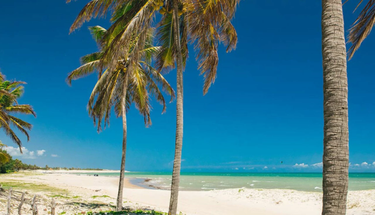 Descubra São Miguel do Gostoso