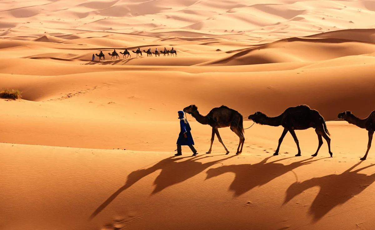 Incrível Deserto do Saara