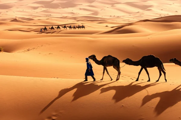 Incrível Deserto do Saara