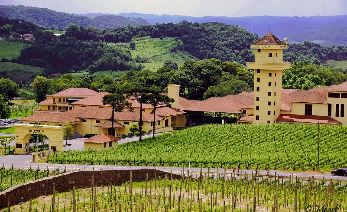 Bento Gonçalves: Capital nacional do vinho e turismo