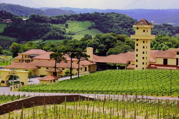 Bento Gonçalves: Capital nacional do vinho e turismo