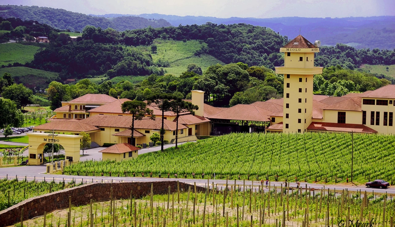 Bento Gonçalves: Capital nacional do vinho e turismo