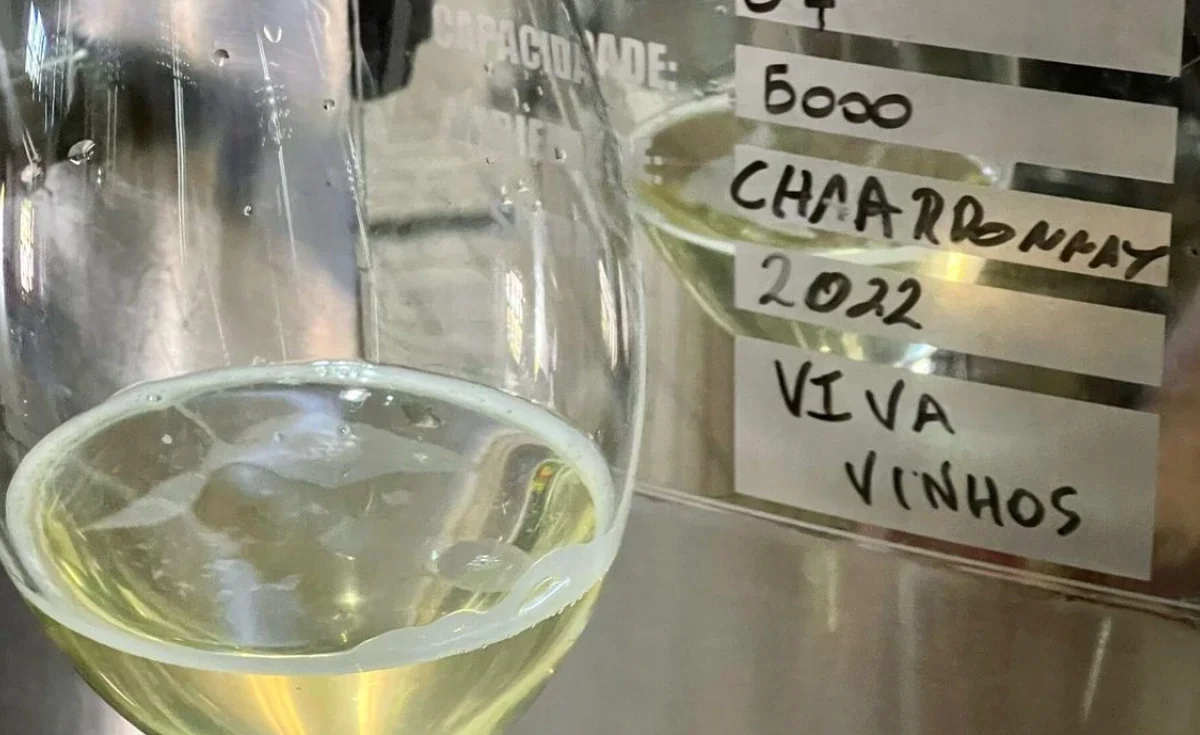 Viagem para Amantes de Vinho