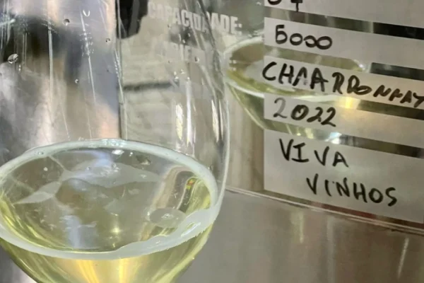 Viagem para Amantes de Vinho