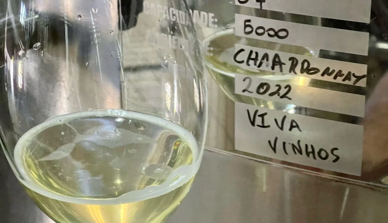 Viagem para Amantes de Vinho