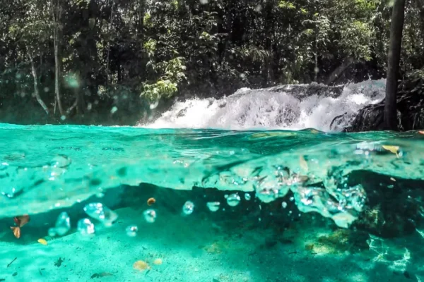 Jalapão: Um Destino Selvagem e Aventurado