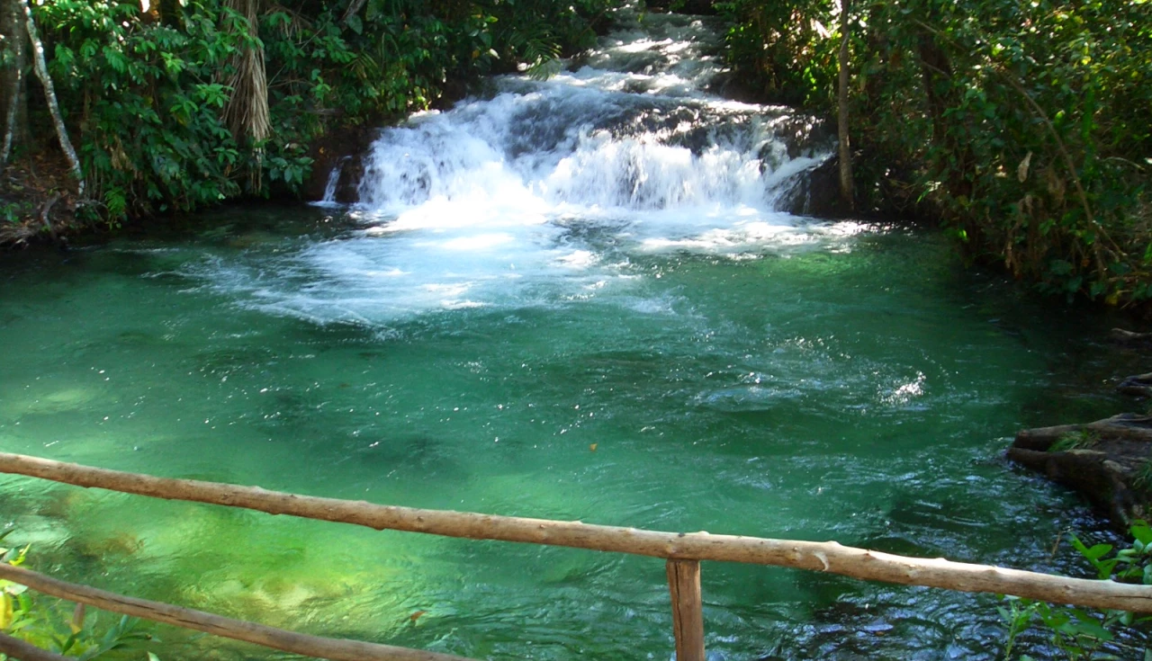 uma cachoeira em uma floresta