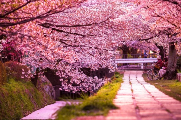 A primavera no Japão