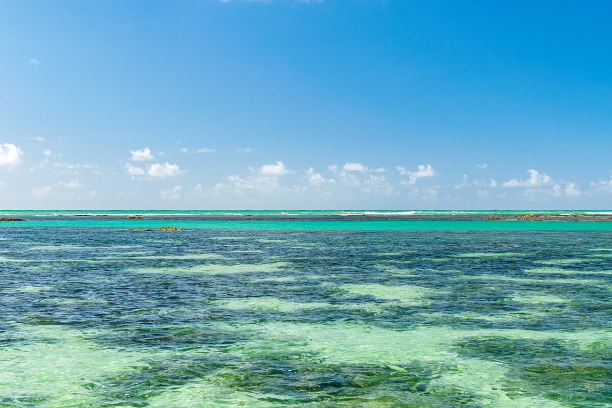 brazil, beach, paradise, maragogi, resort, sea, ocean, maragogi, maragogi, maragogi, maragogi, nature, maragogi
