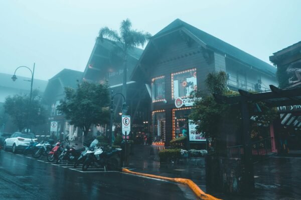 buildings by street in town in rain