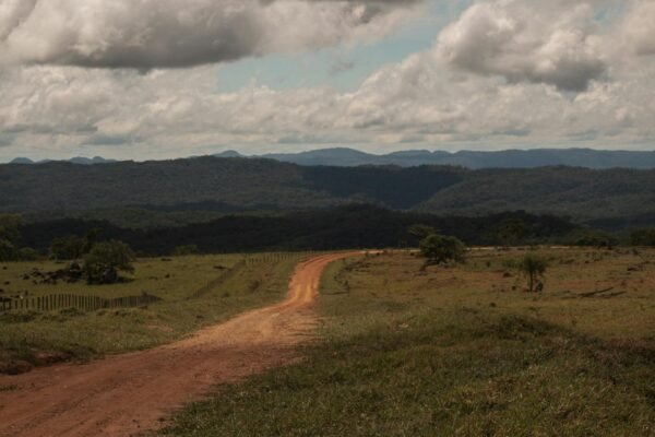 scenic landscape with a dirt road