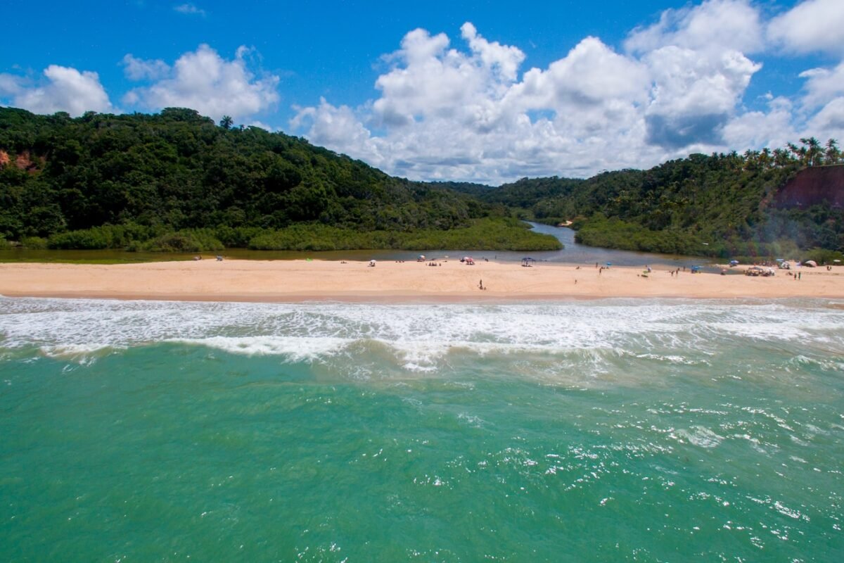 green body of water under blue sky during daytime