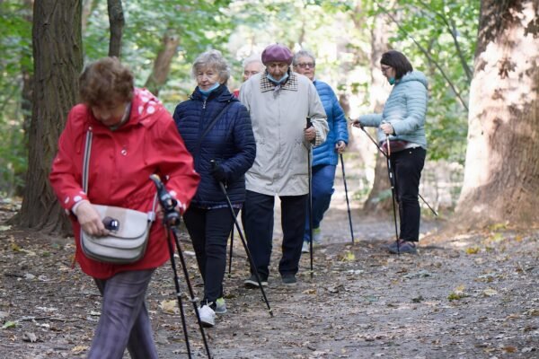 elderly, forest, trekking, women, senior, people, walking sticks, walking, adventure, recreation, path, outdoors, fall, autumn, woods, nature, elderly, elderly, elderly, elderly, elderly, senior, senior, senior, senior, senior