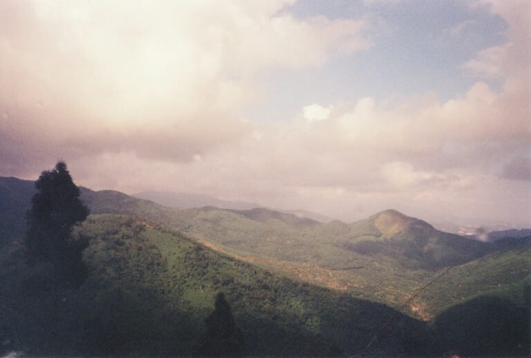 Melhor Época para Visitar a Tanzânia