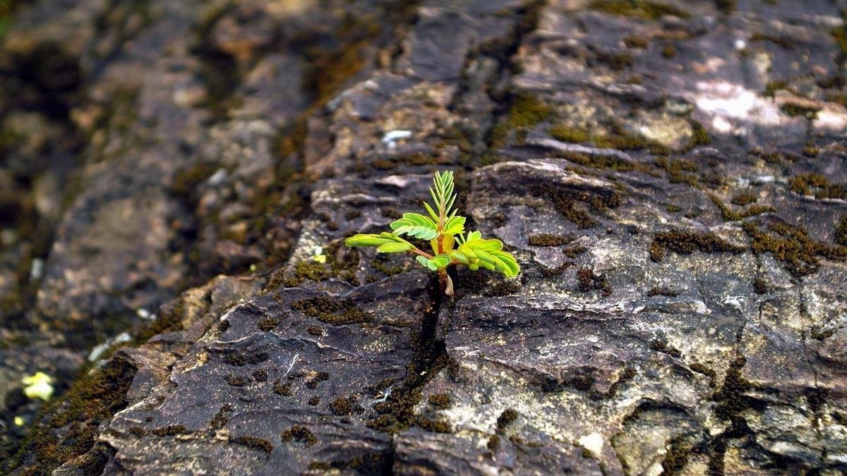 Vida na Alemanha: O Que Esperar Vida na Alemanha: O Que Esperar