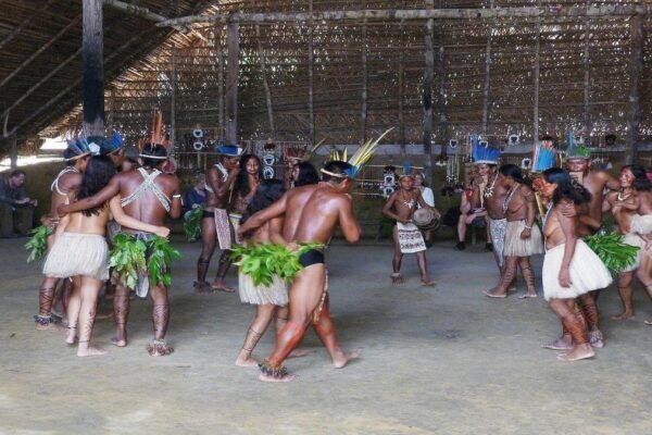 manaus-um-guia-para-o-coracao-da-amazonia