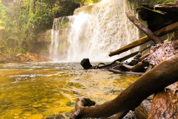 Presidente Figueiredo: Um Guia das Cachoeiras do Amazonas