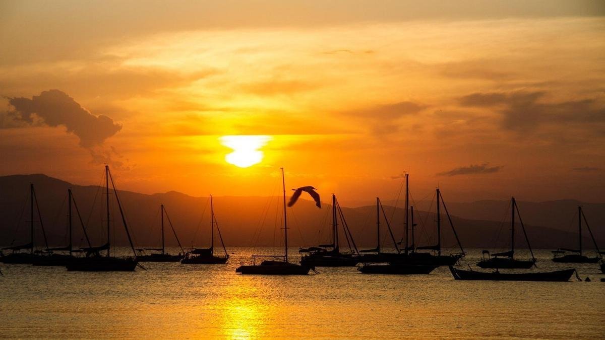 Melhores praias de Ubatuba São Paulo: praias imperdíveis e o que fazer nas praias de Ubatuba Melhores praias de Ubatuba São Paulo: praias imperdíveis e o que fazer nas praias de Ubatuba