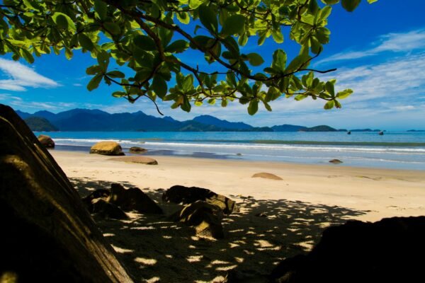 O que fazer em Ubatuba: Guia Completo para sua Aventura!