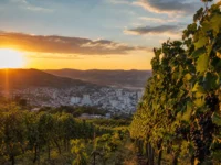 Bento Gonçalves RS: A Capital do Vinho na Serra Gaúcha