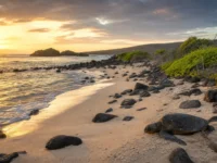Ilhas Galápagos Equador e o Custo Real de Viajar sem Pressa