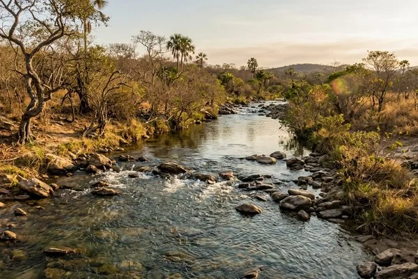 Rio de águas claras com pequenas corredeiras e pedras, cercado de vegetação de cerrado ao fim da tarde
